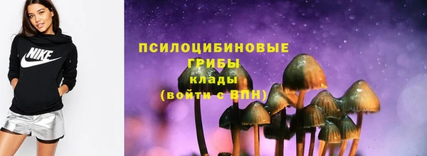 ПСИЛОЦИБИНОВЫЕ ГРИБЫ Баксан