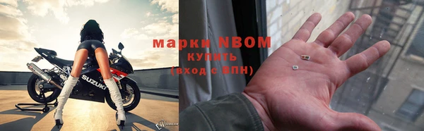 ПСИЛОЦИБИНОВЫЕ ГРИБЫ Баксан