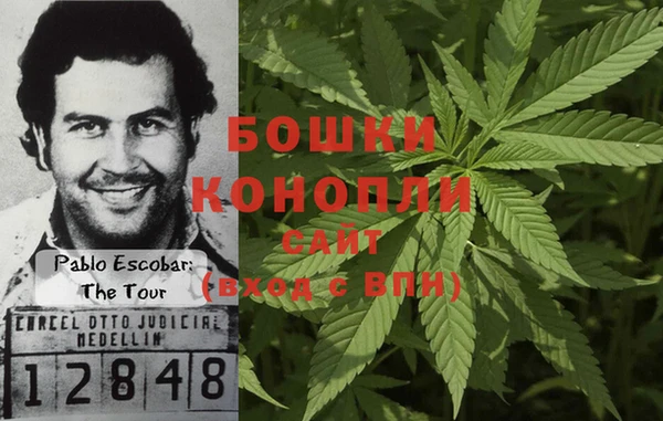 ПСИЛОЦИБИНОВЫЕ ГРИБЫ Баксан